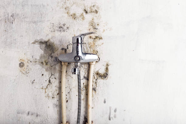 Water Damage Restoration in Brigantine, NJ