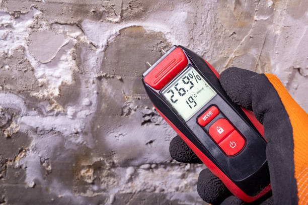 Best Home Mold Removal  in Brigantine, NJ
